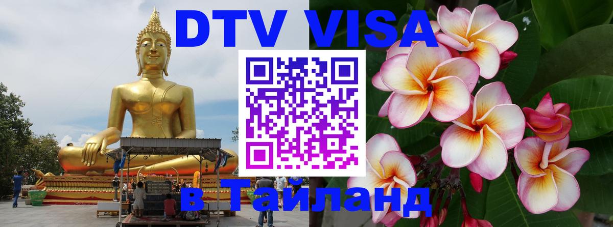 Оформить DTV визу в Тайланд Бердск 